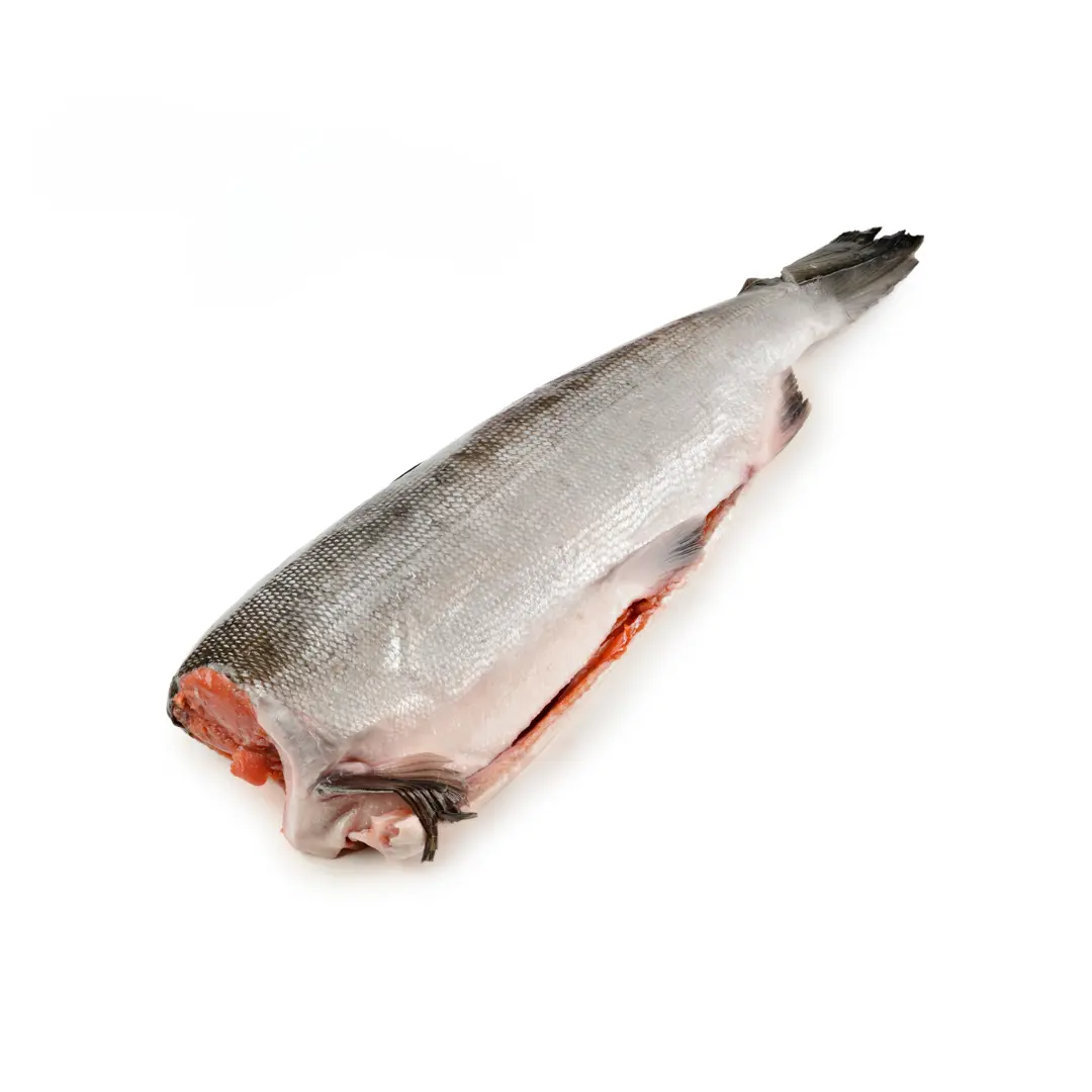 [8-24] Кета  ПБГ/ПСГ