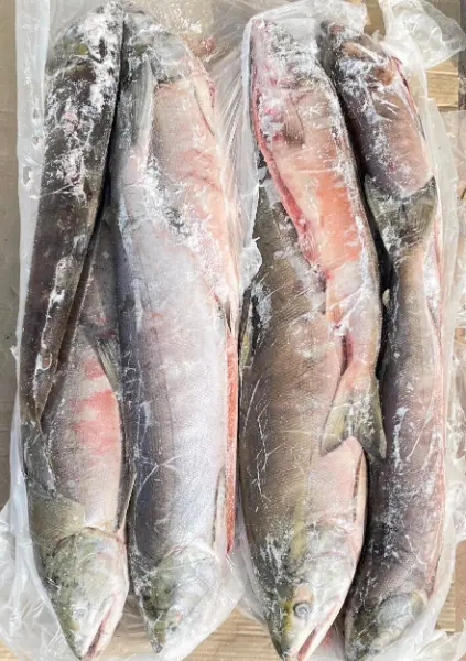 [8-23] Горбуша ПСГ УМЗ