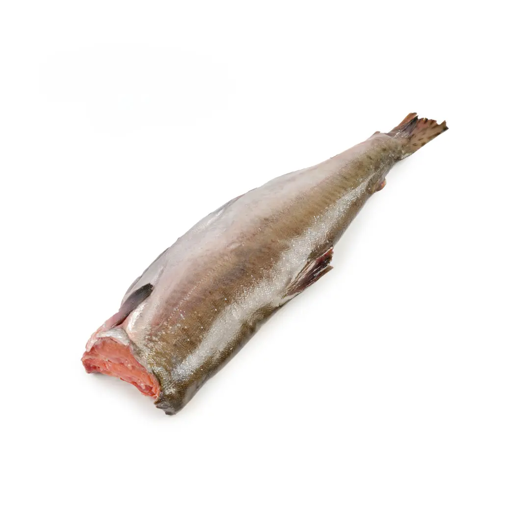 [8-22] Горбуша НР/ПБГ/ПСГ