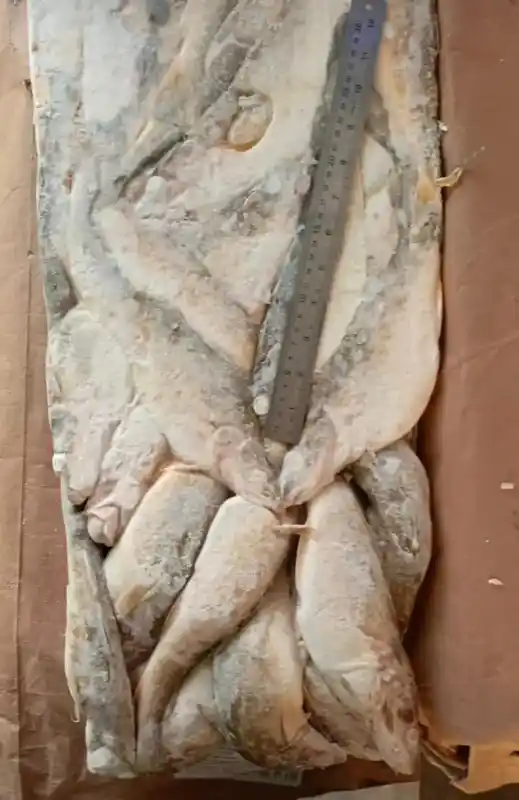 [8-4] Навага НР, глазированная 1/20 кг