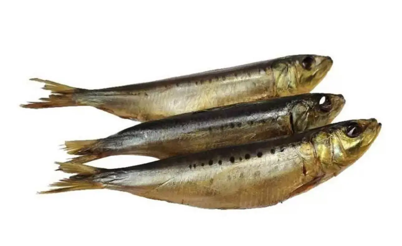 [5-14] Иваси х/к, 1кг