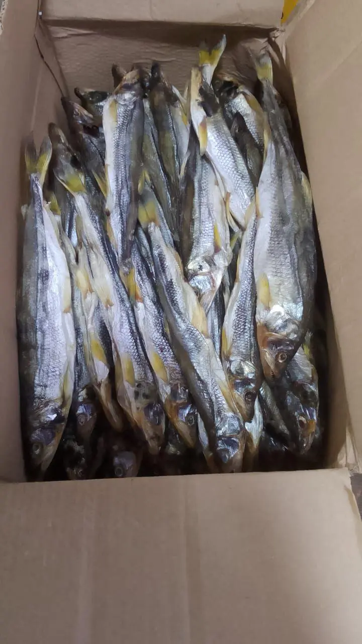 [5-13] Корюшка вяленая зубатка, 1 кг