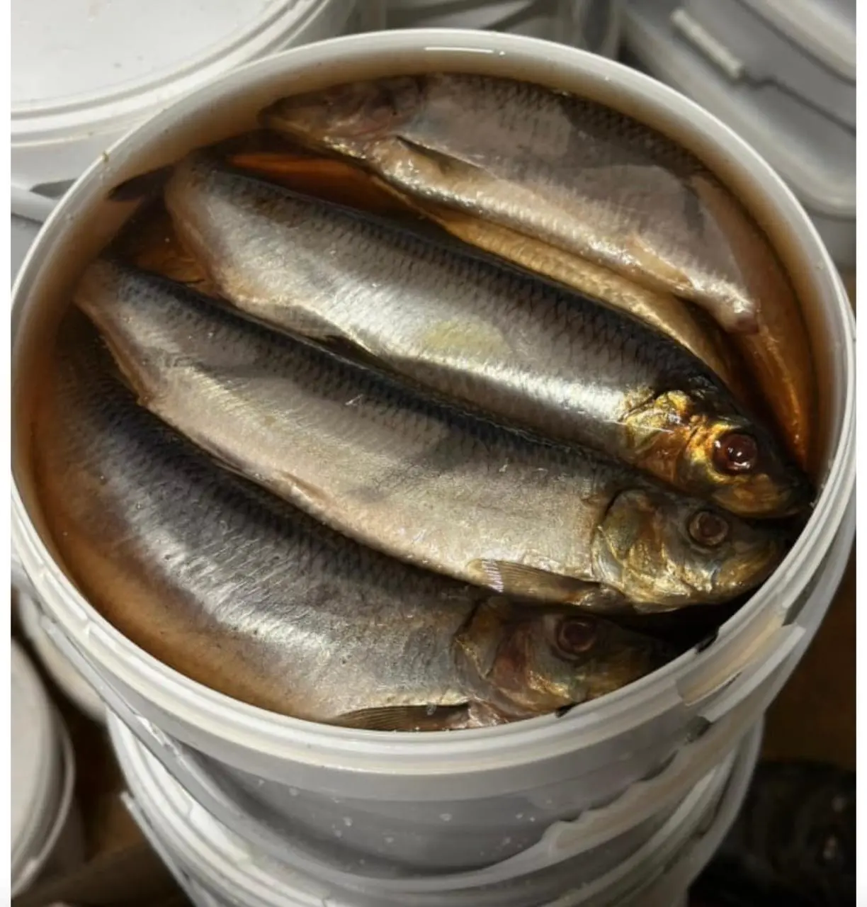 [5-21] Сельдь с/с в ведре 400-500+,  1/5кг