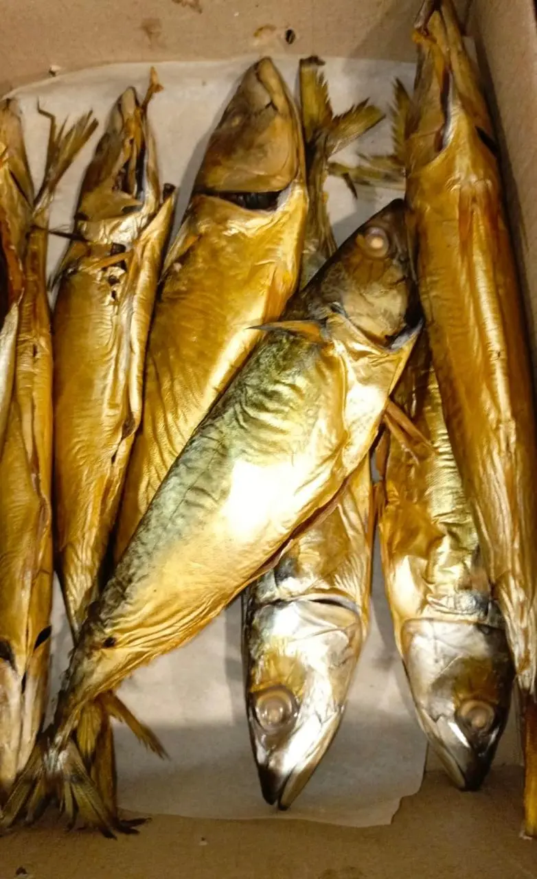 [5-27] Скумбрия х/к, 1кг