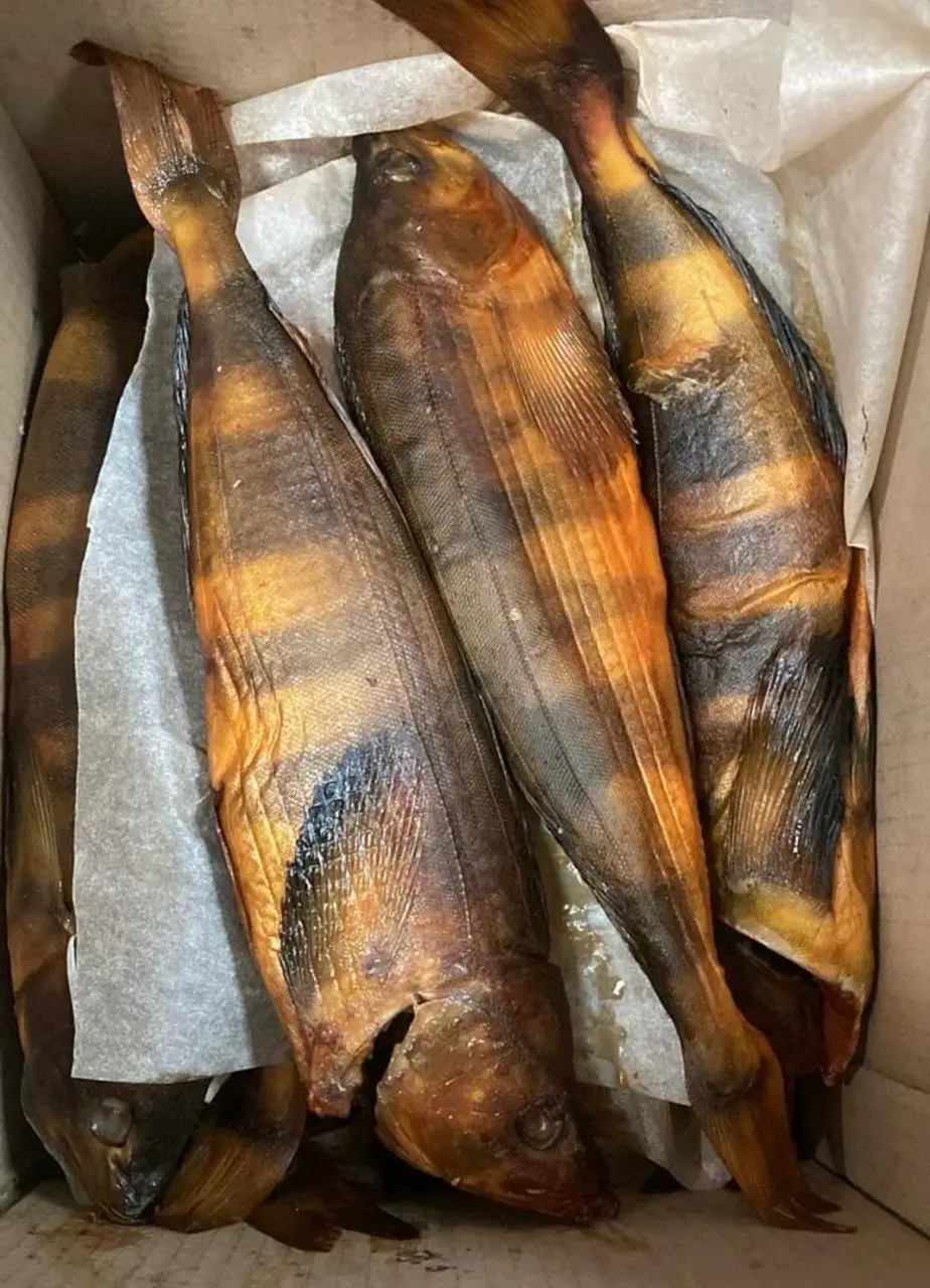 [5-24] Терпуг х/х, 1кг