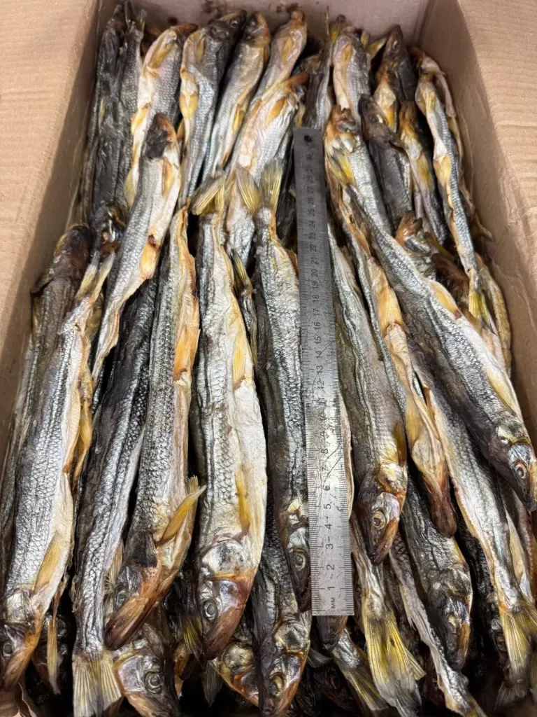 [7-164] Зубатка вяленая 23+ (Владивосток), 1 кг