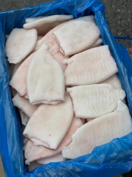 [3-459] Кальмар категория А, Приморье 1/5