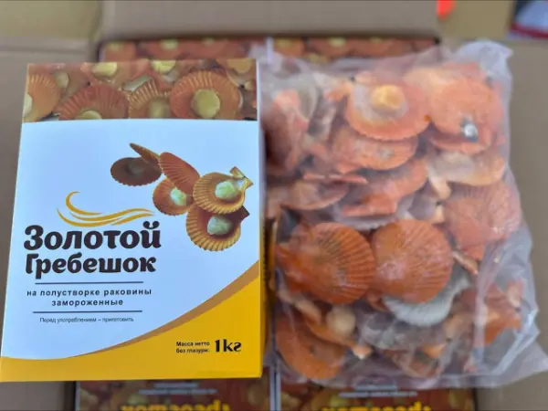 [3-298] Гребешок на раковине Золотой (9/10 шт/кг)
