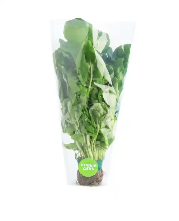 [27-4] Базилик