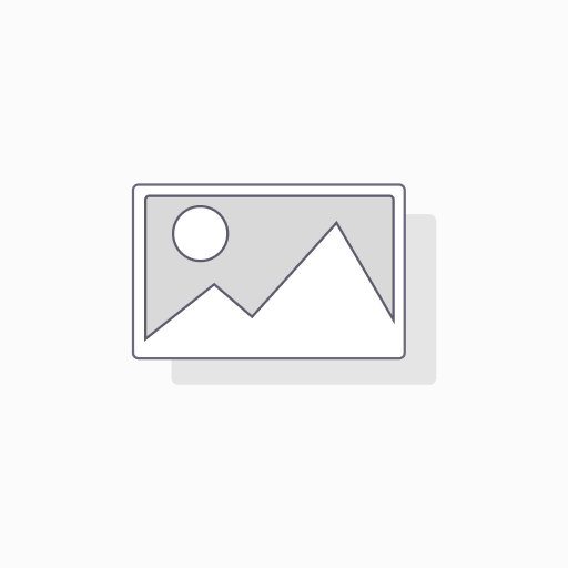 [2-3199] Лапша Донсан кур.остр, 1\12